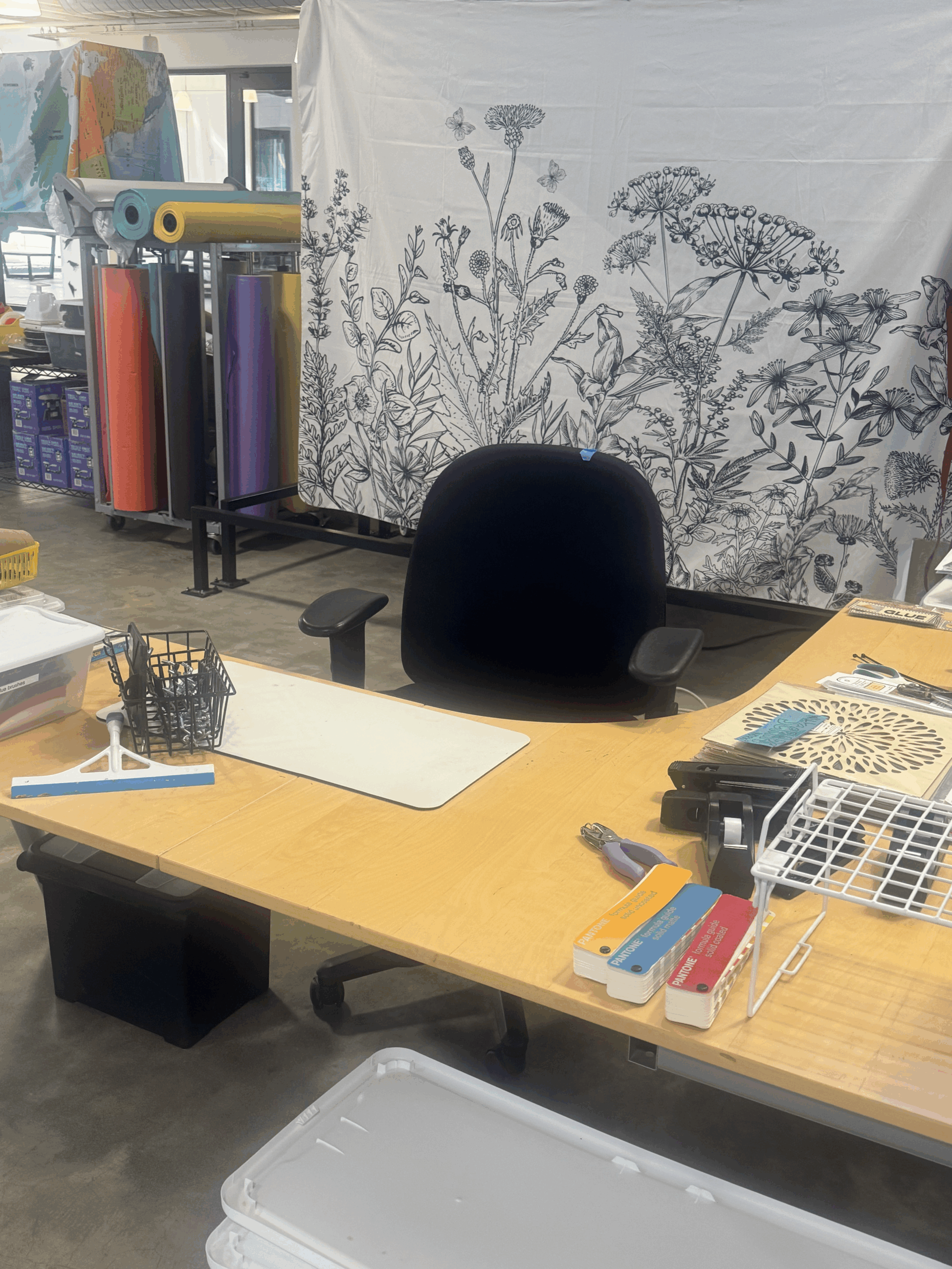 Week 2 (Aug 15, 2025)