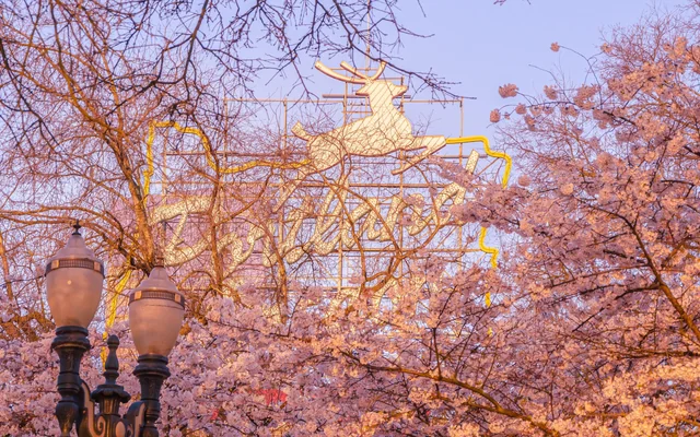 Spring Break 2026 in Portland